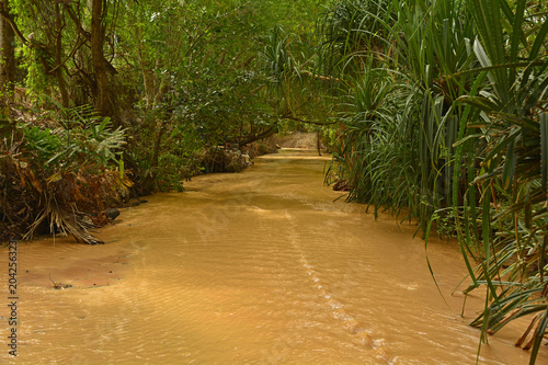 The Fairy Stream (Suoi Tien) in Mui Ne, Binh Thuan Province, Vietnam
 photo