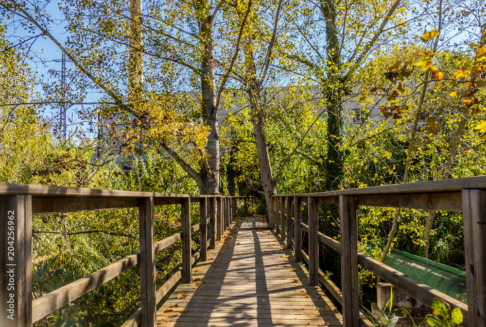 Auttum Bridge