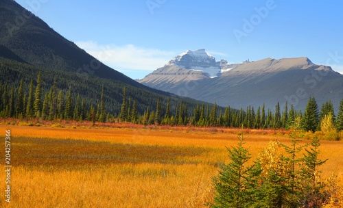 Scenic landscape in Jasper national park near Icefields park way