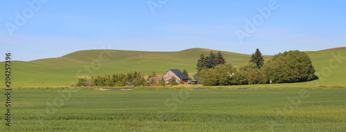 Panoramic view of Palouse landscape