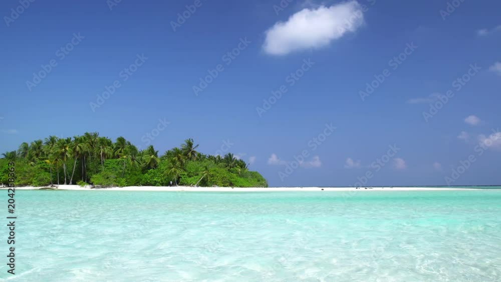 Perfect wild Maldives island with palm trees Perfect wild Maldives island with palm trees