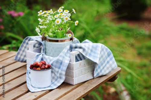 Fotografie june or july garden scene with fresh picked organic wild strawberry and chamomile flowers on wooden table outdoor