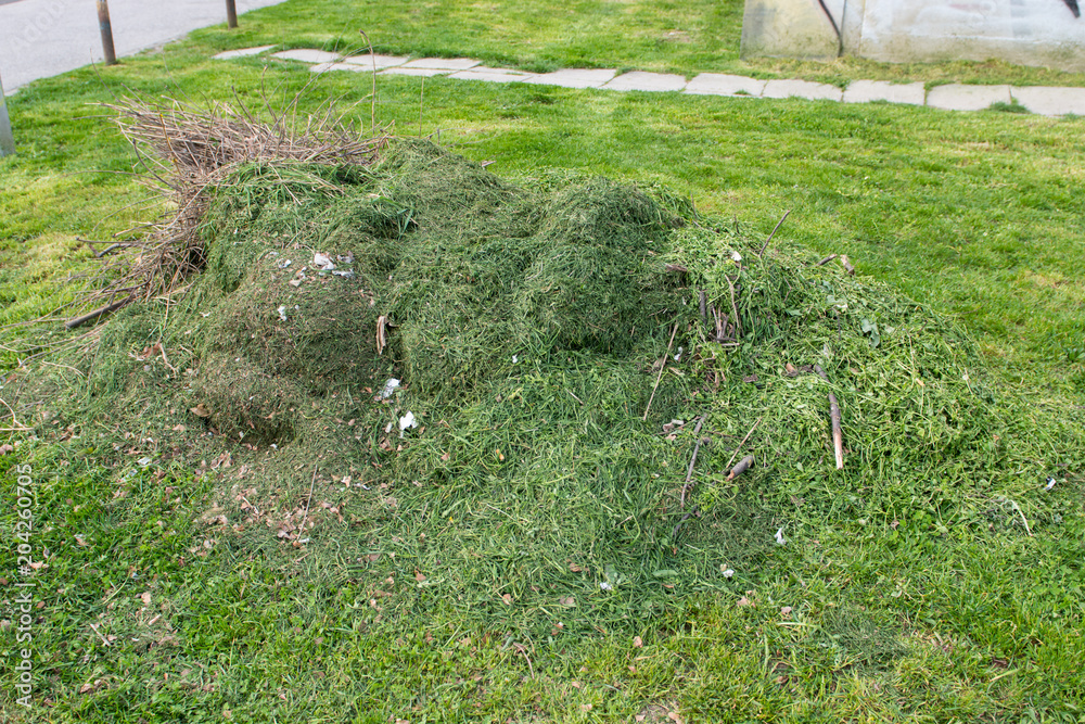 Big Pile of freshly cut green grass in park. Big Pile of freshly cut green grass in park.