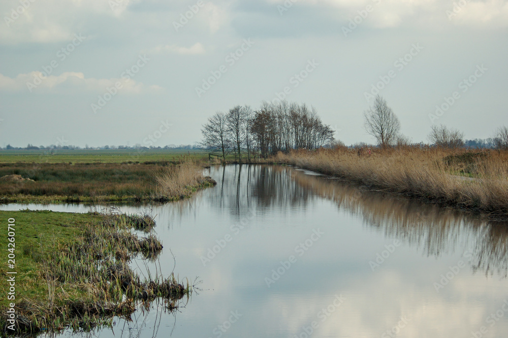 Ditch in polder landscape. Reeuwijk, the Netherlands.