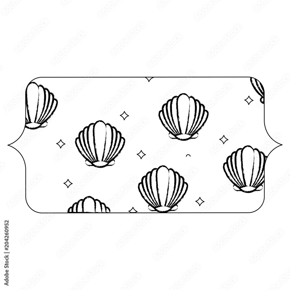 banner with seashells pattern over white background, vector illustration