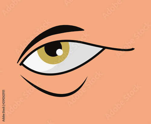 design of green eye and eyebrow of man, vector illustration