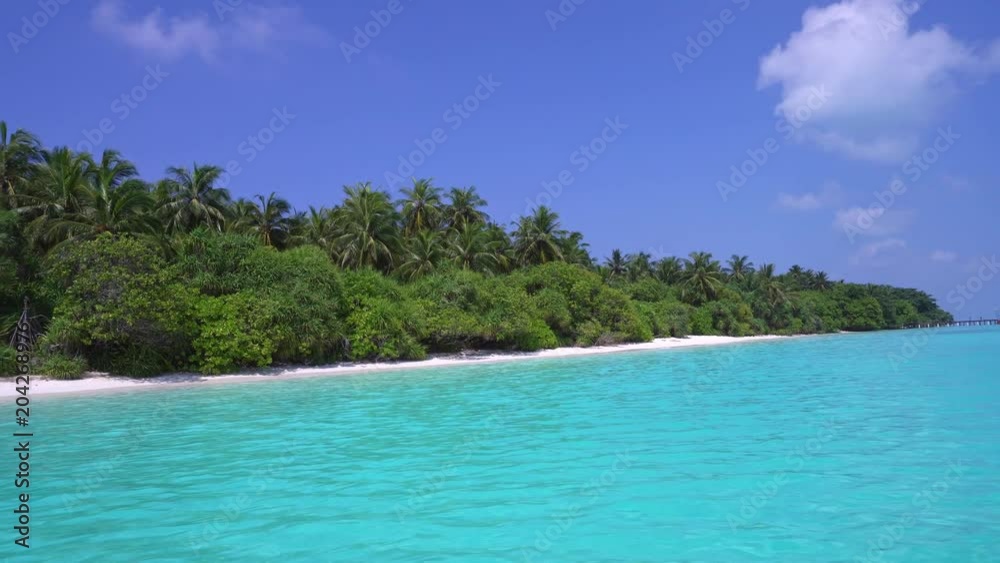 Perfect wild Maldives island with palm trees Perfect wild Maldives island with palm trees