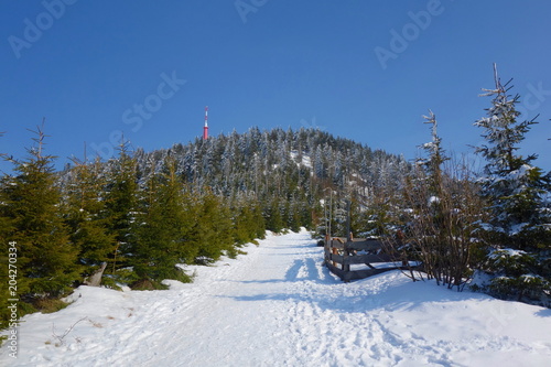 Winter snowy view on the highest mountain called Lysa Hora, Beskydy, Czech Republic