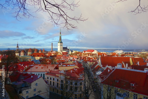 View of Tallinn's Old Town after storm which is one of the best preserved medieval cities in Europe and is listed as a UNESCO World Heritage Site #204270703