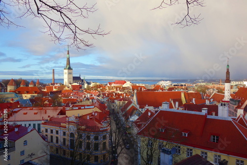 View of Tallinn's Old Town after storm which is one of the best preserved medieval cities in Europe and is listed as a UNESCO World Heritage Site #204270705