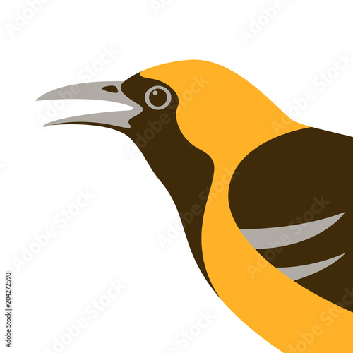bird oriole vector illustration  flat style  profile