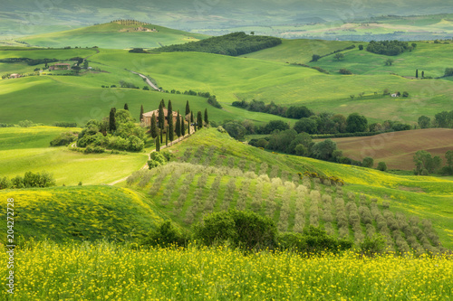 Tuscany spring landscape  Val d Orcia  Italy