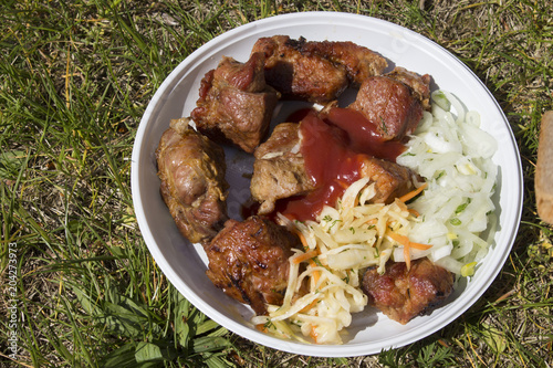 fried meat on a white plate