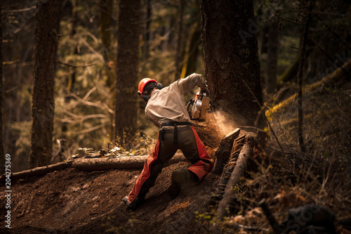 tree cutting