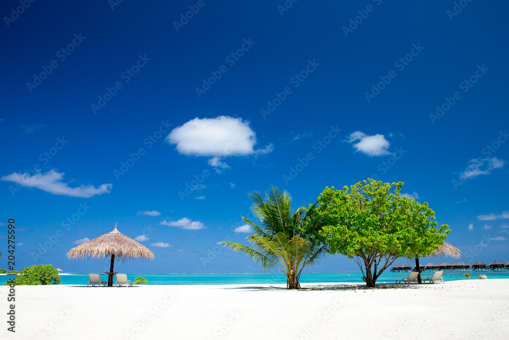 tropical Maldives island with white sandy beach and sea tropical Maldives island with white sandy beach and sea