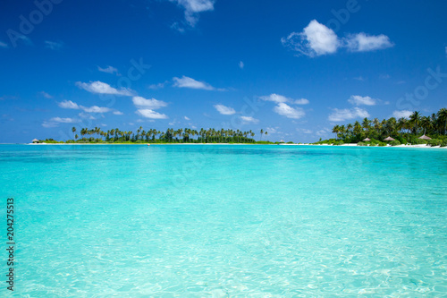 Fototapeta Naklejka Na Ścianę i Meble -  tropical Maldives island with white sandy beach and sea
