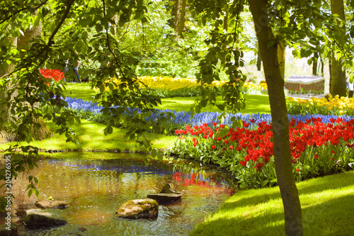 A flower bed with tulips of different colors  green grass and a lake. Park with flowers Keukenhof in the spring. Holland. Background