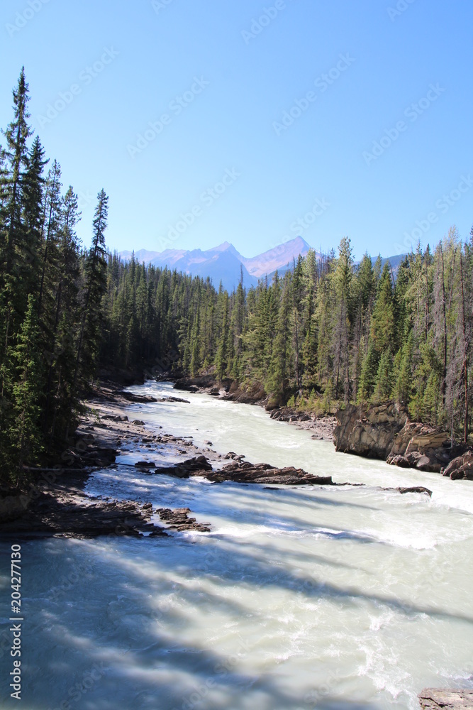 Looking Down The Kicking Horse River, Yoho National Park, British Columbia Looking Down The Kicking Horse River, Yoho National Park, British Columbia