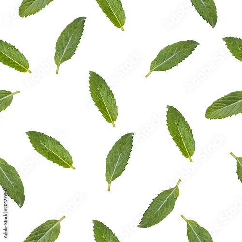 Seamless pattern with the image of mint leaves.