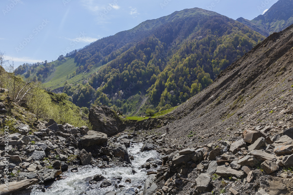 Obraz premium Mountain slopes in spring