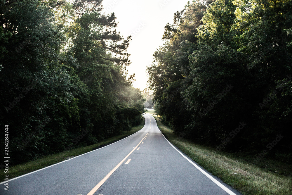 Fototapeta premium Pathway to the Future