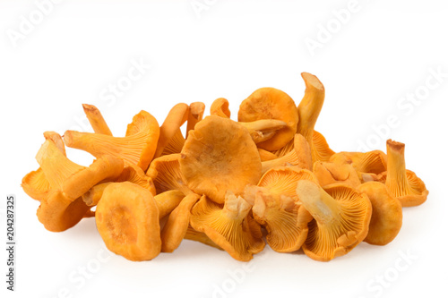 Small hill of pure chanterelle mushrooms isolated on white background