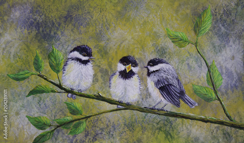 Cuadro en lienzo Three Black-capped Chickadees