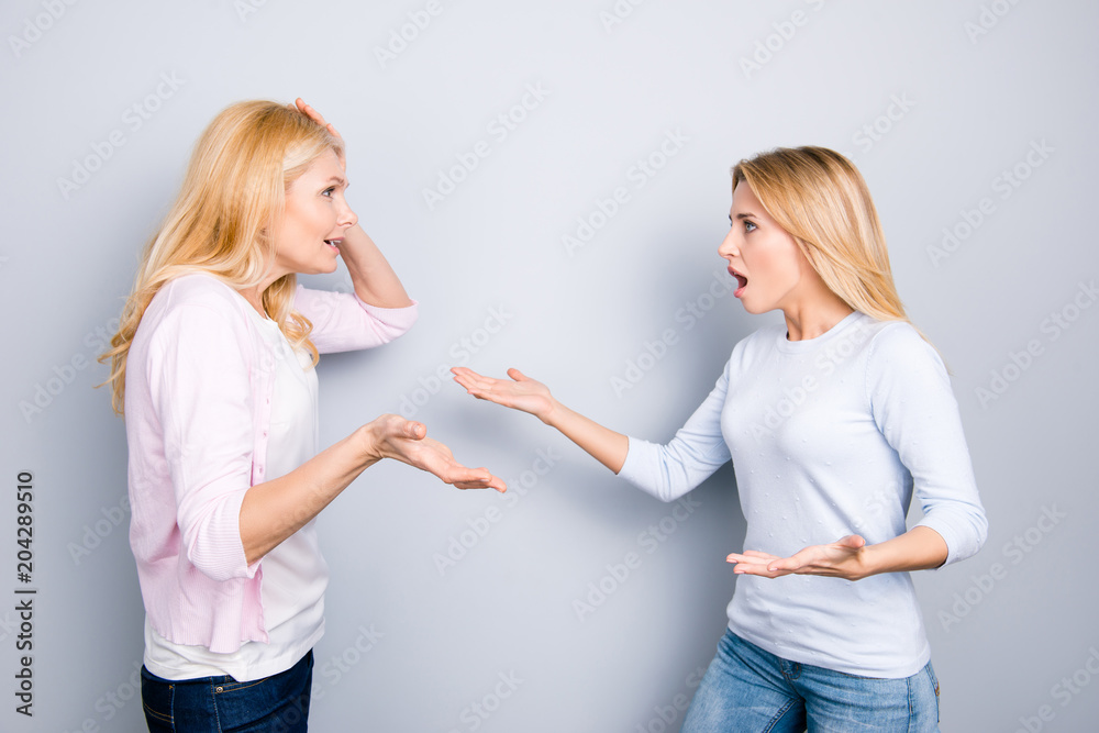 Misunderstanding disagreement insult concept, nervous irritated unhappy disappointed upset mother and daughter yelling at each other arguing having dispute quarrel isolated on grey background Misunderstanding disagreement insult concept, nervous irritated unhappy disappointed upset mother and daughter yelling at each other arguing having dispute quarrel isolated on grey background