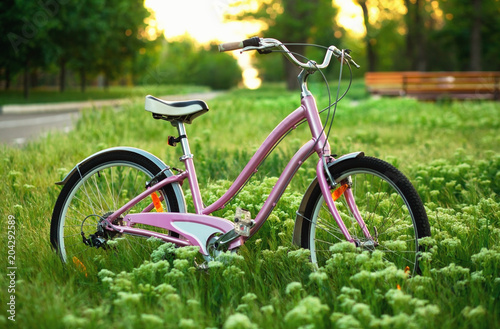 Bicycle on a meadow in the park