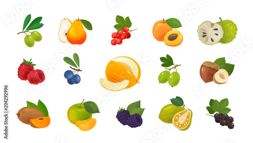 Fruits and berries, set of colored icons. Food concept. Vector illustration