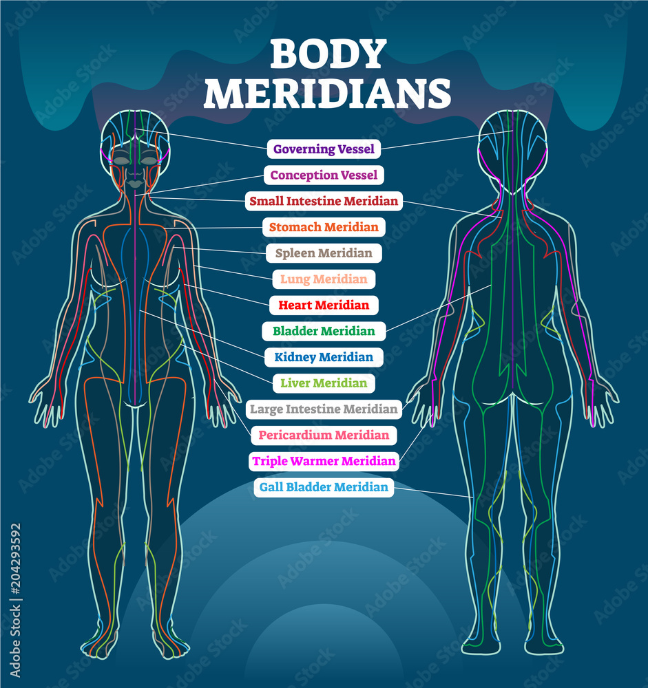 Body meridian system vector illustration scheme, Chinese energy acupuncture  therapy diagram chart. Stock-Vektorgrafik | Adobe Stock