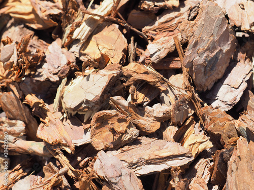 Wood mulch chips from pine bark. Shredded brown bark background, close-up. Garden decorative and landscape works