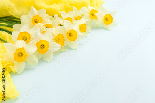 Fototapeta Naklejka Na Ścianę i Meble -  Daffodil spring flowers with yellow textile decoration on blue pastel background with copy space.