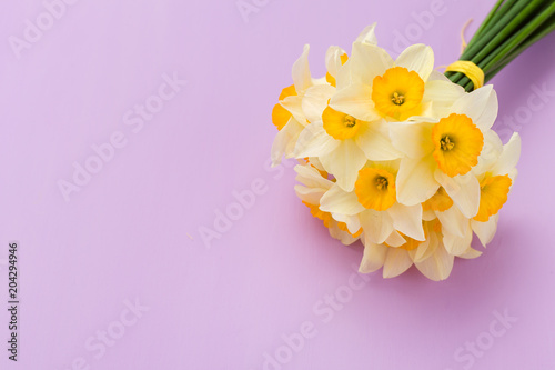 Fototapeta Naklejka Na Ścianę i Meble -  White daffodil bouquet on violet pastel background with copy space.