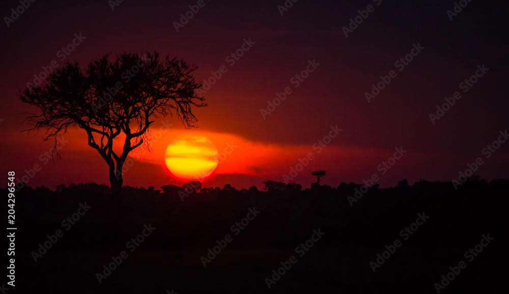 Obraz premium A mesmerizing sunset at Masai Mara, Kenya