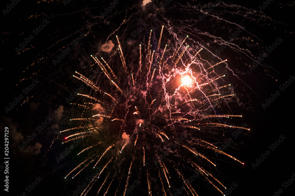 Bright and beautiful fireworks, on a festive day in the night sky Bright and beautiful fireworks, on a festive day in the night sky