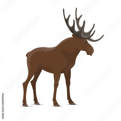 Elk moose vector wild animal isolated icon