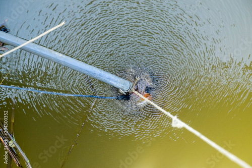 A submersible garden pump immersed in a pond. Pumping water for irrigation. photo