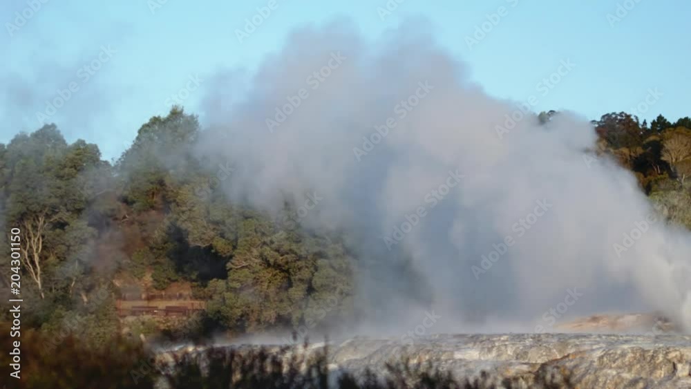 Panning shot clouds of steam from powerful geyser, Rotorua Panning shot clouds of steam from powerful geyser, Rotorua