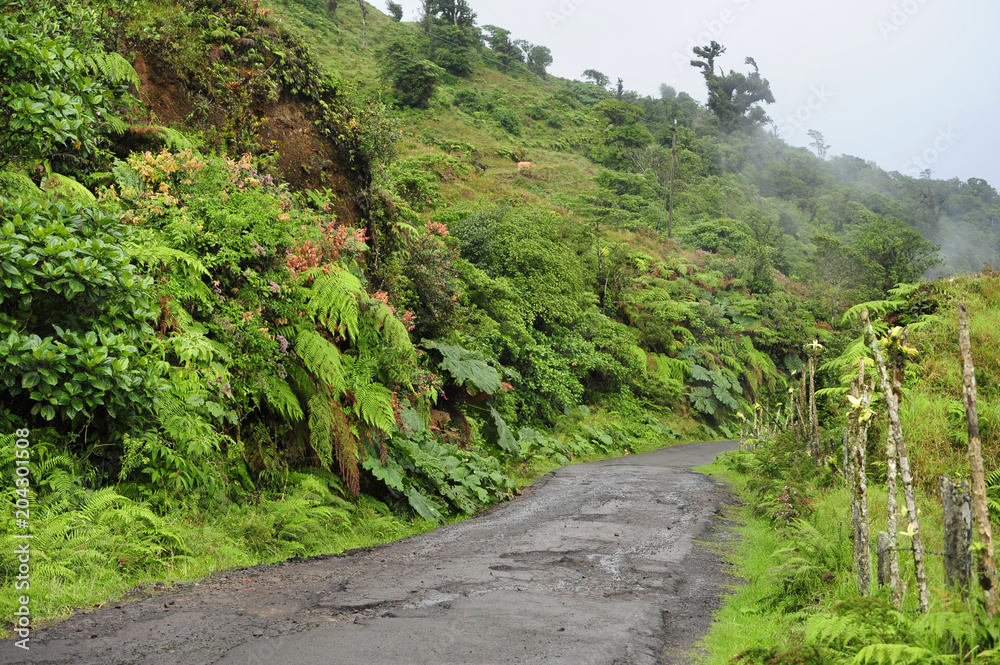 A rural road winds through the lush countryside in Valverde Vega in Costa Rica. A rural road winds through the lush countryside in Valverde Vega in Costa Rica.