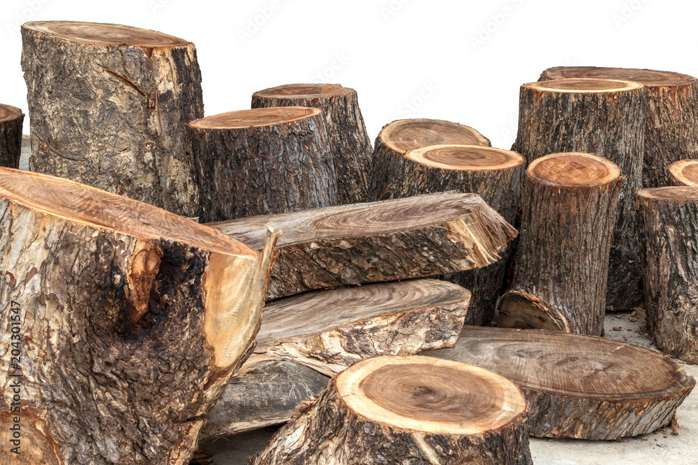 Isolate pile of timber logs from rain tree. Isolate pile of timber logs from rain tree.