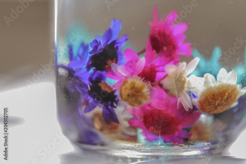 透明で水の入った瓶にカラフルなお花 Colorful flowers in a transparent water bottle
