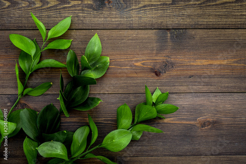 Summer concept. Bright greenery. Sprig with green foliage on dark wooden top view space for text