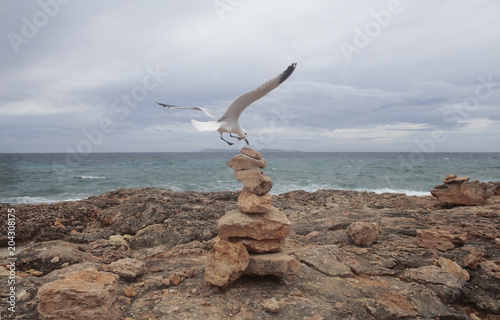 Seagull landing over stone balancing structure in the south coast of the Spanish island of Mallorca.