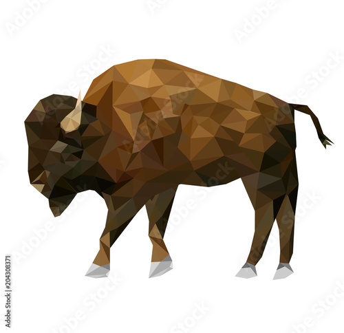 Isolated Low poly bison and reflection with white back ground,animal geometric,vector.