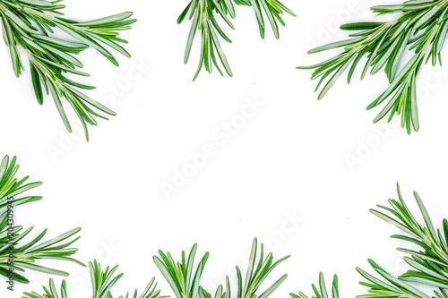 Isolated Rosemary. Creative food background with rosemary herb. Flat lay. Fresh food concept.