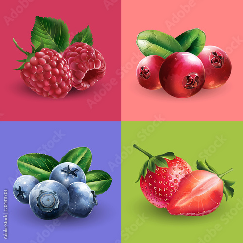 Raspberries, cranberries, blueberries and strawberries