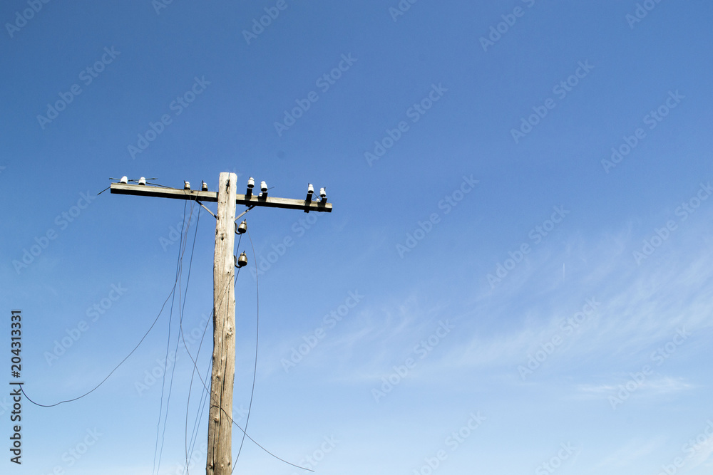 Wooden support of power lines