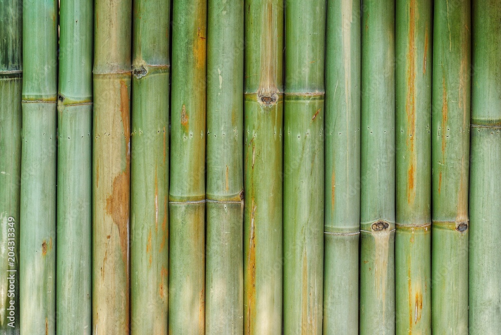 bamboo wall background texture pattern brown nature garden house wallpaper line
bamboo wall background texture pattern brown nature garden house wallpaper line