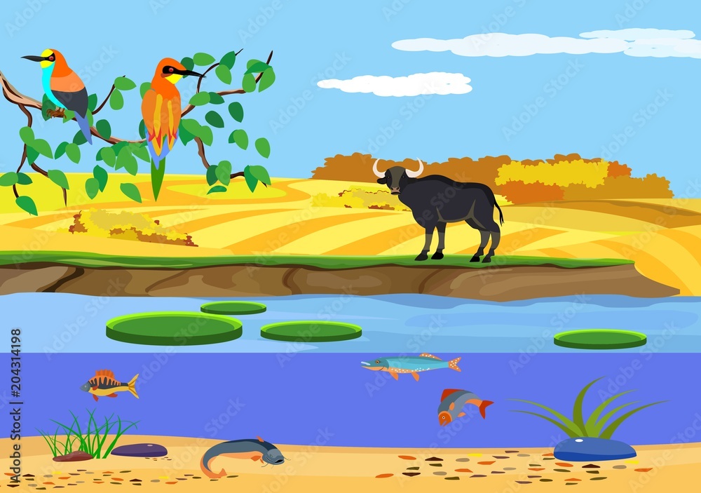 Wildlife scene, nature landscape, river bank, fishes, animals, birds.  Concept image Stock Vector | Adobe Stock
